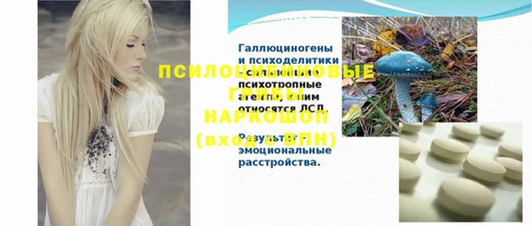 spice Белокуриха