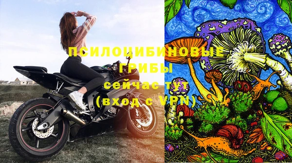 твердый Сосновоборск