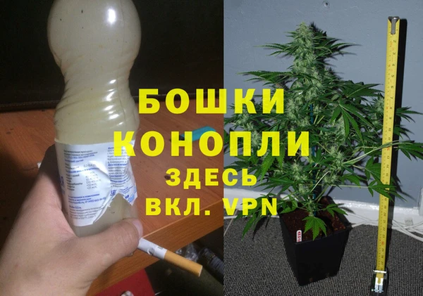 spice Белокуриха