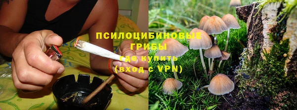 spice Белокуриха