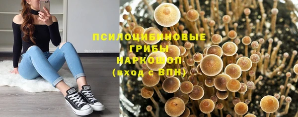 spice Белокуриха