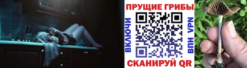 Псилоцибиновые грибы ЛСД  купить  сайты  Валуйки 