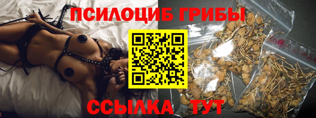 Псилоцибиновые грибы прущие грибы Валуйки