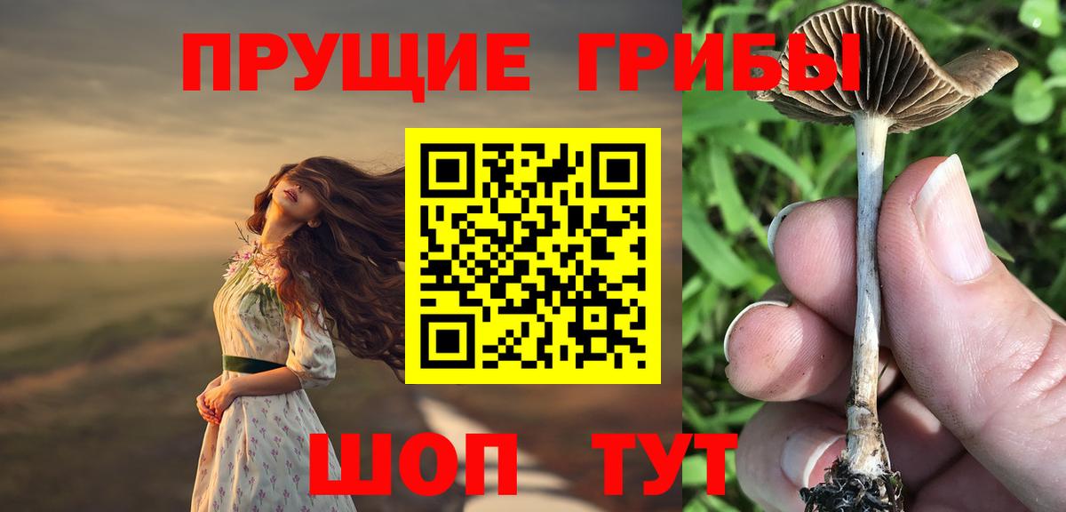 Галлюциногенные грибы Magic Shrooms  Галлюциногенные грибы Psilocybe  Валуйки  Вход с VPN 